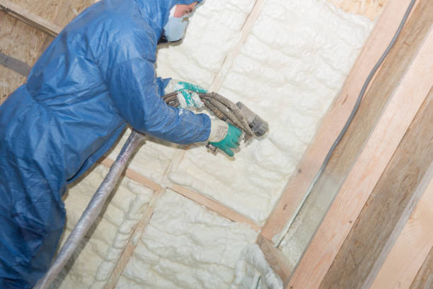 Best Crawl Space Insulation  in Mangum, OK